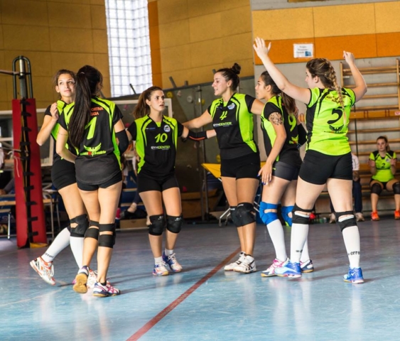 volley 2